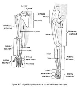 The #1 Human Anatomy and Physiology Course | Learn About The Human Body